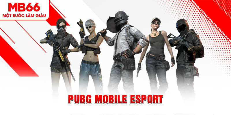 oxbet com gà chọi c1 mới nhất