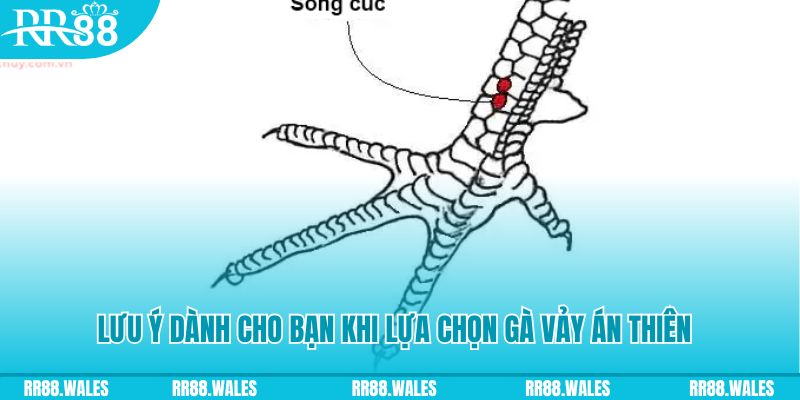 oxbet com how to play roulette at casino