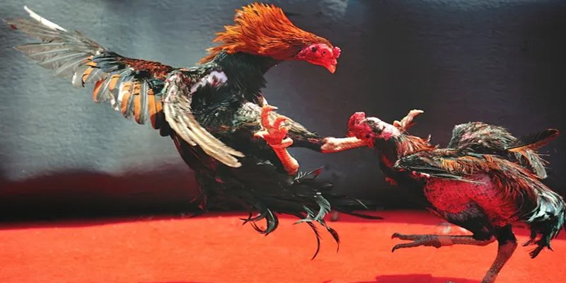 oxbet com đăng nhập nổ hũ số 1