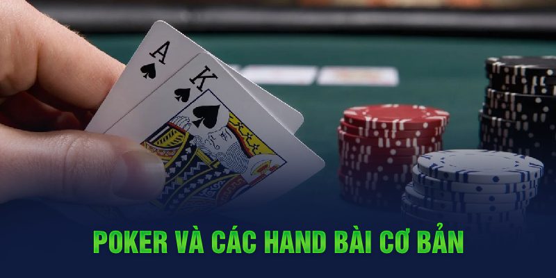 oxbet com c1 gà chọi