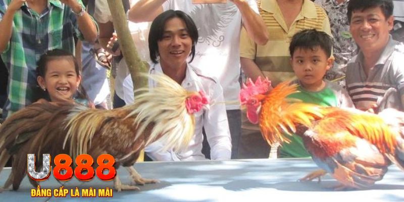 oxbet com mơ thấy nổ hũ đánh con gì