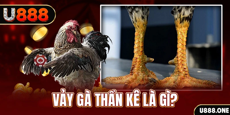 oxbet com xổ số miền bắc thứ tư hàng tuần