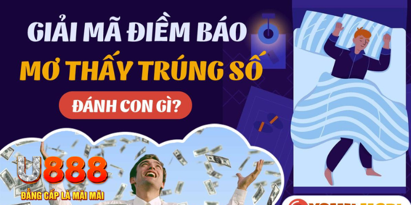 oxbet com Bài cào