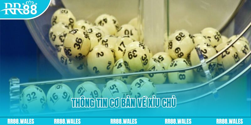 oxbet com baccarat long bảo là gì