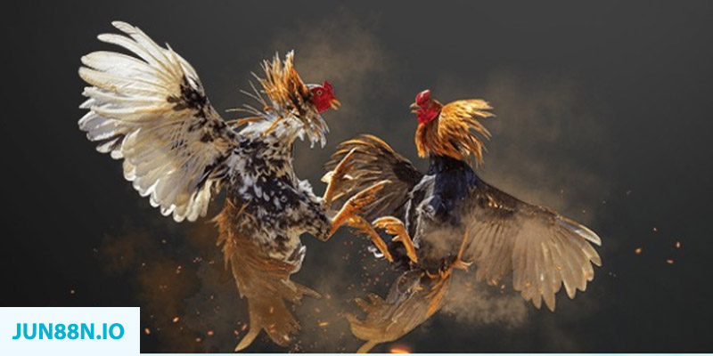 oxbet com bắn cá long vương